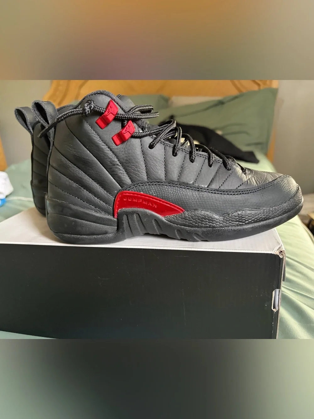 Jordan retro 12